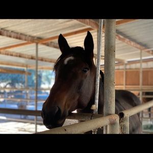 Meet your Posher, Gina